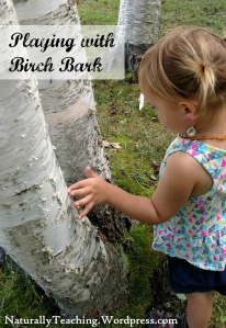 playing-with-birch-bark